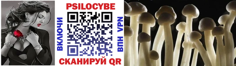 Галлюциногенные грибы Magic Shrooms  это как зайти  Светогорск  МЕГА ССЫЛКА 